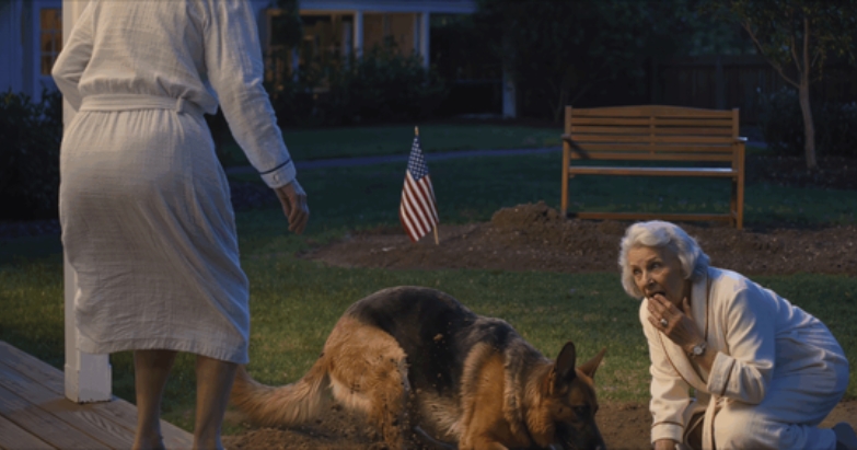 My Late Husband’s Last Gift To Me Was A Dog. My Sil Told Me He’d Been “Put To Sleep” For “Safety” Without Asking Me. I Was Heartbroken. Then 3 Days Later, I Saw Him Alive In My Backyard, Digging In The Garden My Sil Had Built. When I Realized What Was Buried THERE…