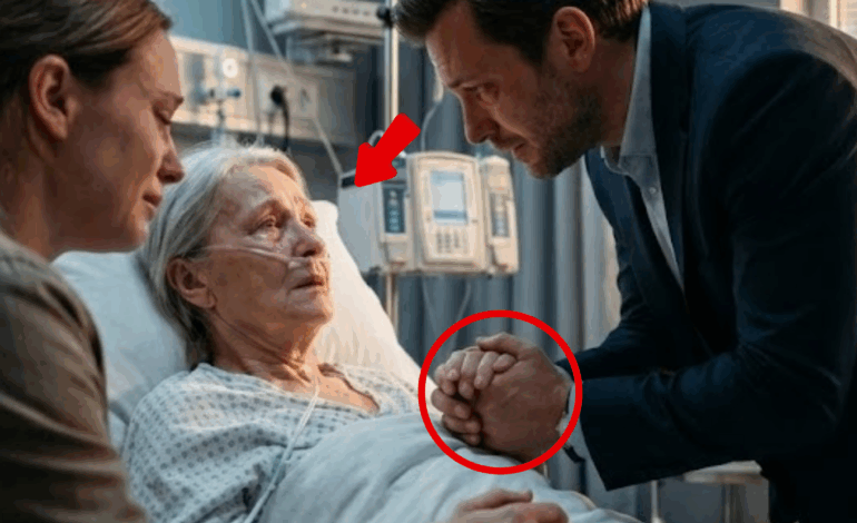 I Agreed To Be Her Fake Fiancé For 6 Months. We Ended Up Getting Married In A Hospital Room