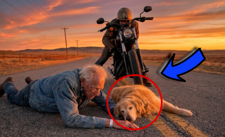 🔥 THE NIGHT AN OLD MAN, A STRAY BIKER AND A DYING DOG TAUGHT ME WHAT “FOREVER” REALLY MEANS 🔥