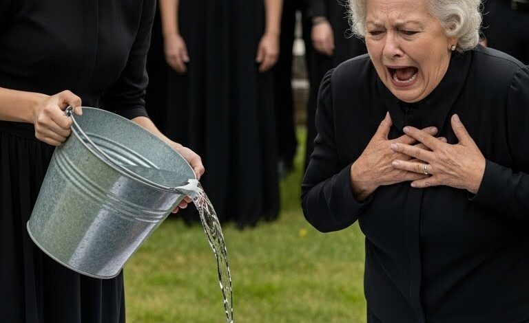 My Brother-in-Law Threw Me Into the Ocean and Smiled — What He Didn’t Know Was That I’d Be Waiting for Him the Next Morning