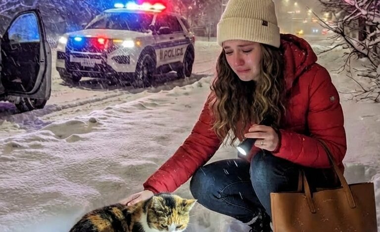 Traffic Came to a Standstill on a Frozen Detroit Highway When a Shaking Puppy Refused to Move—And What He Led Officer Thomas Reed to Discover Changed Everything